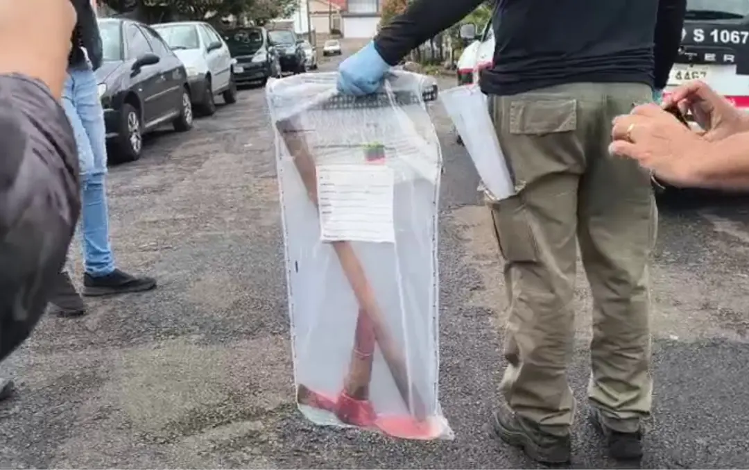 Publicação de @debora.almeida