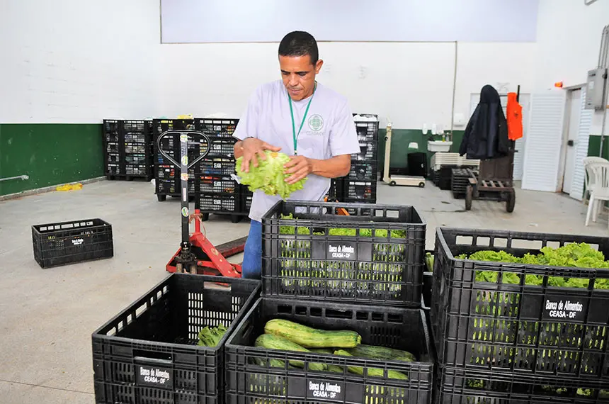 Quatrocentos e sessenta milhões de toneladas de comida jogadas fora no Brasil, enquanto mais de seis milhões passam fom…
