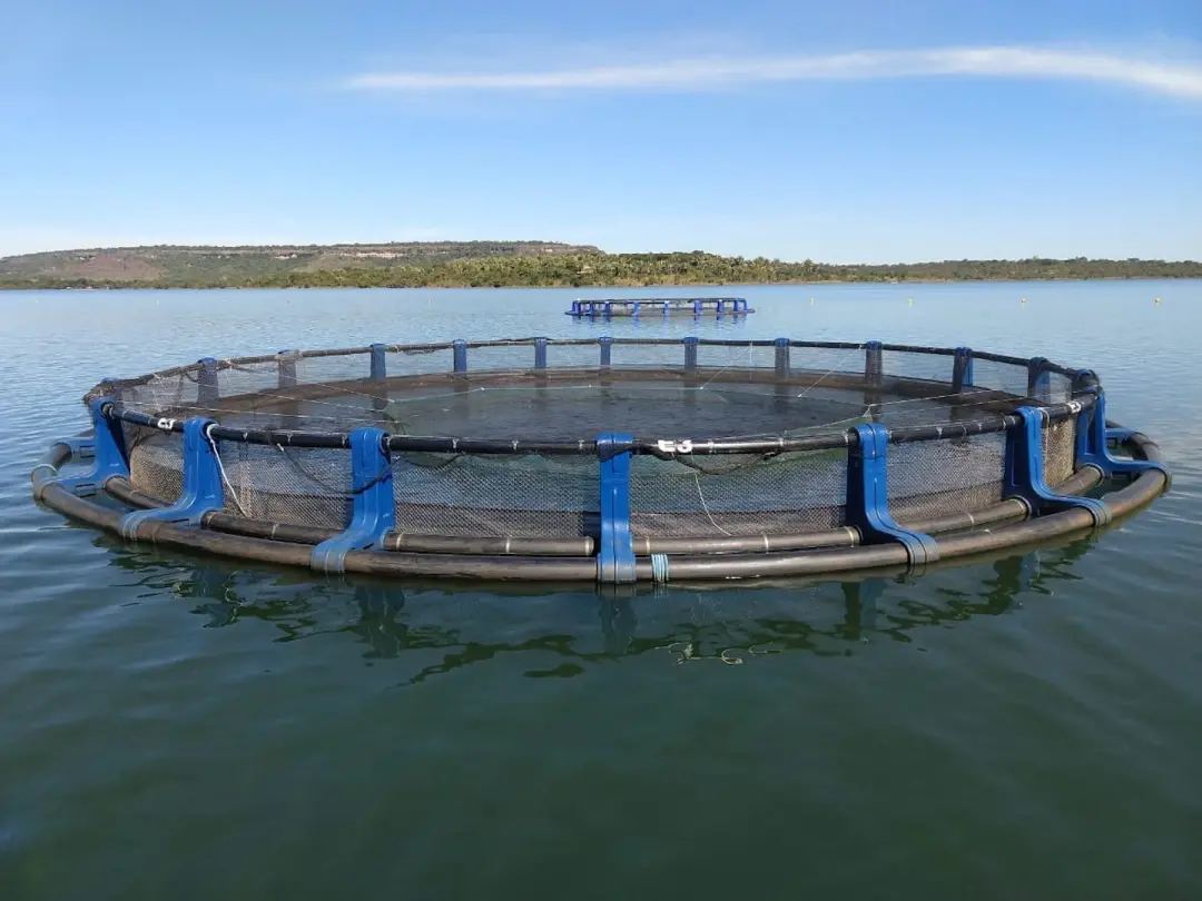 TCU aprovou plano pra agilizar projetos de aquicultura em águas da União. A decisão busca reduzir prazos e retrabalho q…