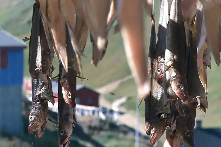 Viracopos processa um terço da carga aérea do Brasil, um lugar chave pra salmão e cereja chegar fresquinho. Manter a ca…