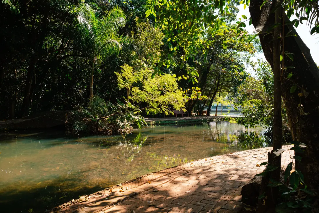 Bosque dos Buritis em Goiânia vai ter projeto paisagístico do escritório Burle Marx, integrando com o Museu de Arte e a…