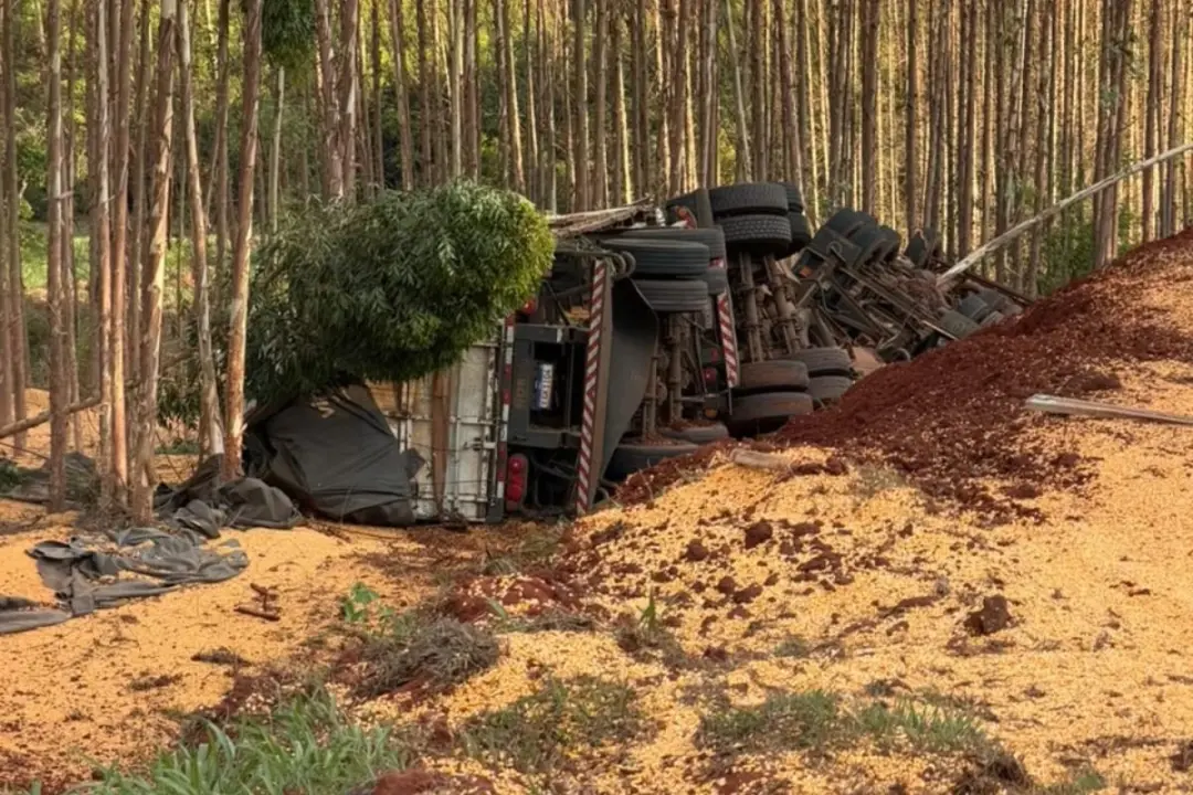 Carreta carregada de milho tombou na MS-338, em Mato Grosso do Sul, causando a morte de um caminhoneiro preso às ferrag…