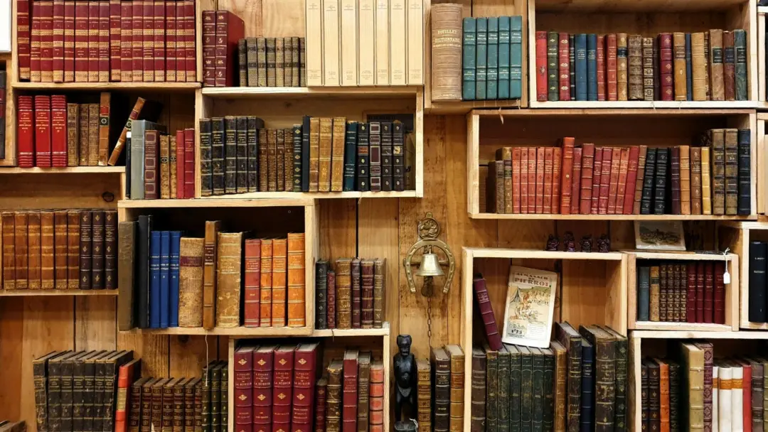 Mais de 23 mil livros foram banidos de escolas nos Estados Unidos desde 2021. Isso muda o acesso dos alunos a histórias…