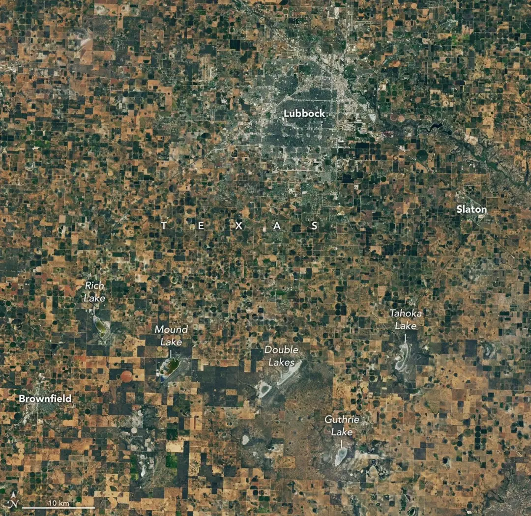 Lubbock, Texas, mostra uma mudança grande na agricultura de algodão: em setembro de 2025, tinha mais verde nas lavouras…
