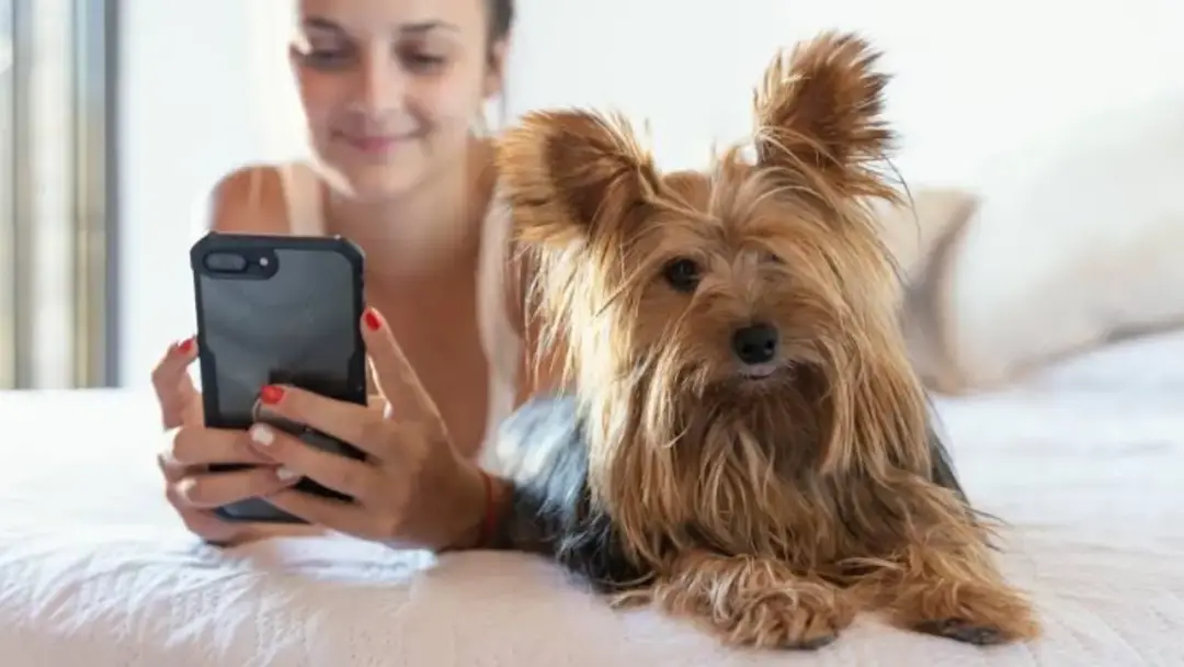 43% das pessoas já usam tecnologia pra tirar dúvida sobre a saúde do pet. É compreensível que busquem agilidade, mas o …