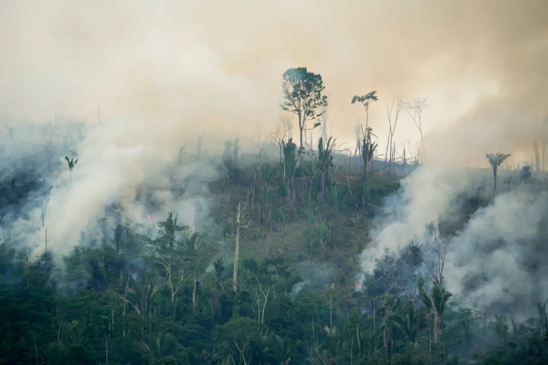 El Niño recorde vai acabar em junho do ano que vem, mas os impactos podem persistir indefinidamente em certas partes do…