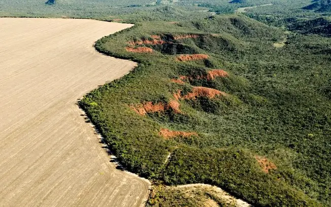 13,9 milhões de hectares de margens de rios no Cerrado sumiram entre 1985 e 2025. Isso afeta a qualidade da água e aume…