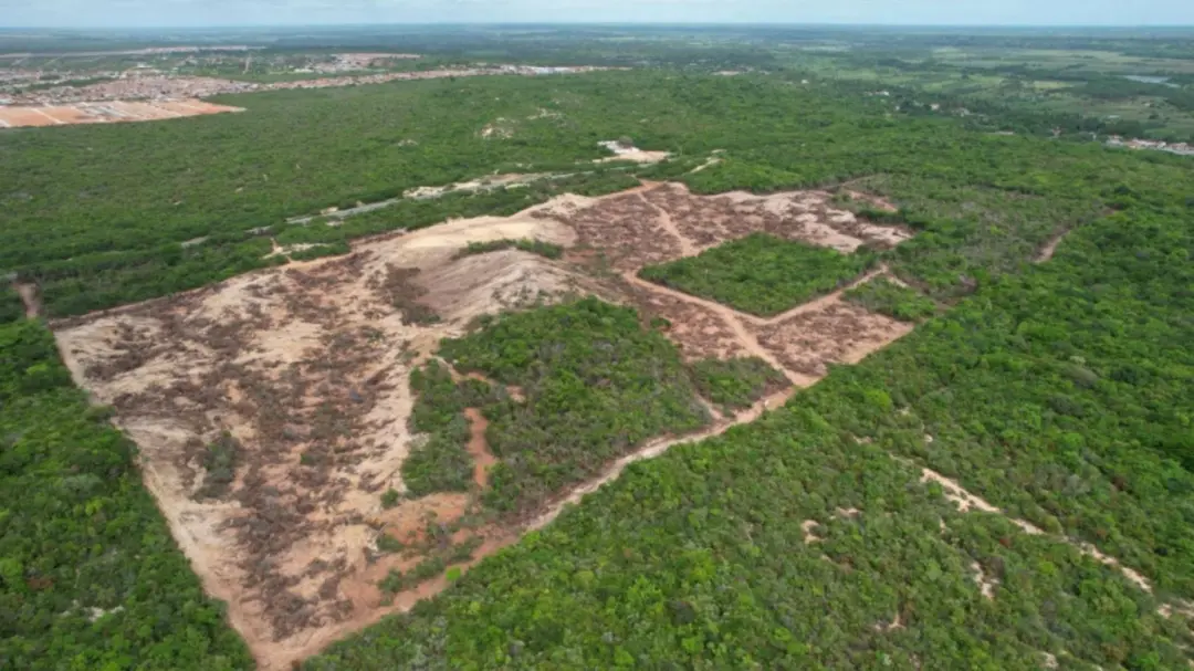 30 campos de futebol de Mata Atlântica foram desmatados em Estivas, Extremoz, RN, para um complexo residencial e comerc…