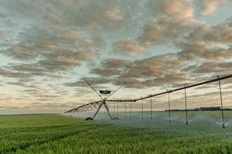 SLC Agrícola projeta 854,4 mil hectares plantados para 2026/27, subindo 2,2% em relação ao ano passado. O aumento focou…