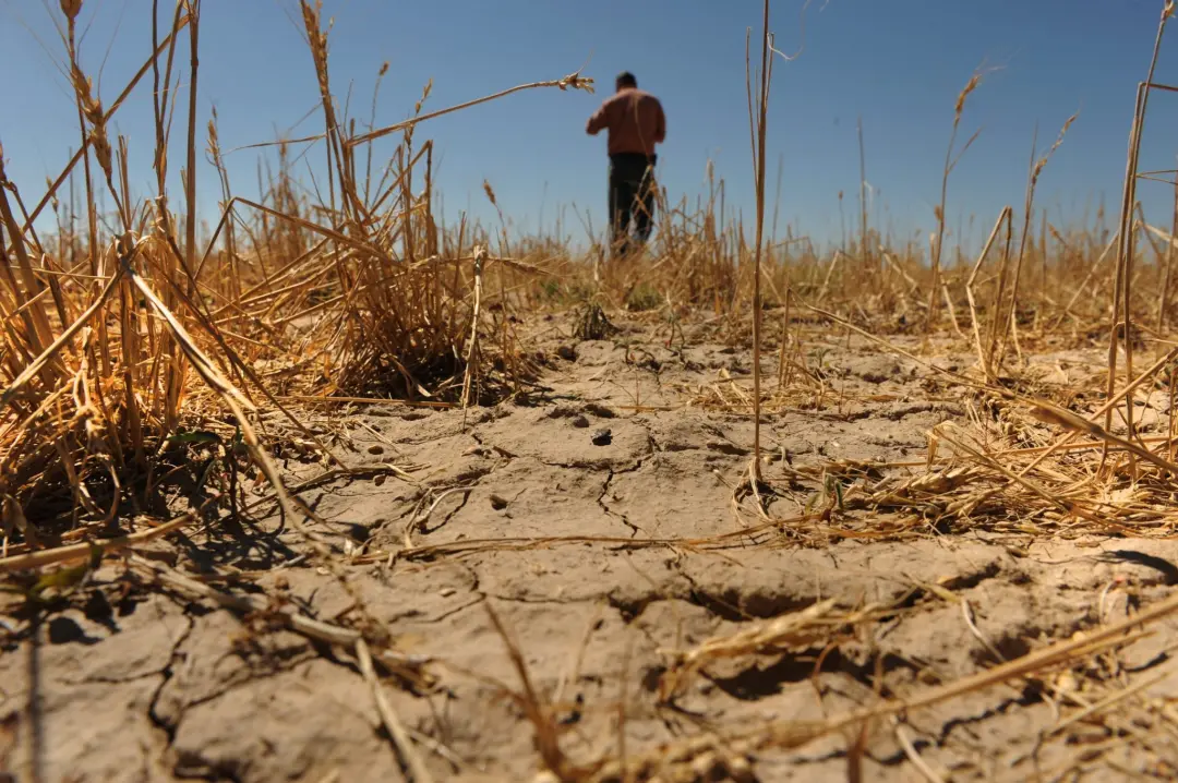 Temperaturas do mar no Pacífico tropical devem bater recordes de 3,7 graus acima do normal entre outubro e dezembro. A …