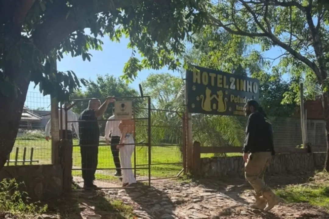 Hotel para pets em Bonito fechou após dona ser gravada batendo em cachorro. O Ministério Público avalia a situação depo…