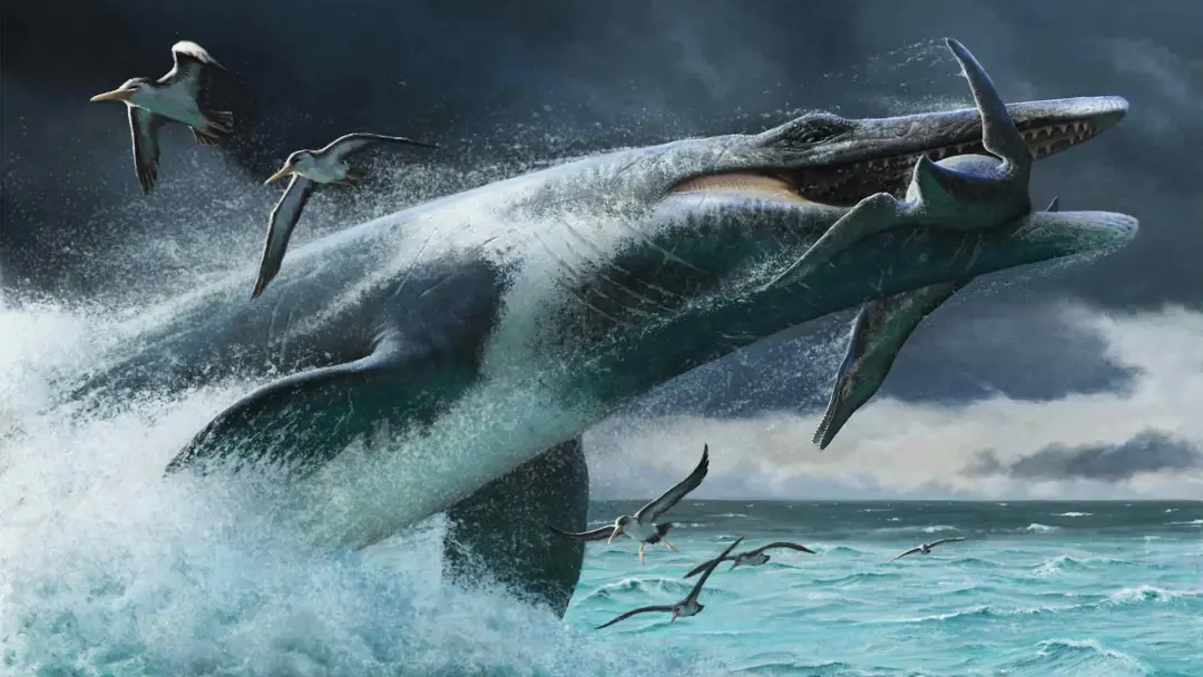 Tylosaurus, um réptil marinho de quase 45 pés de comprimento, atacava presas com um movimento poderoso do rabo. Essa te…