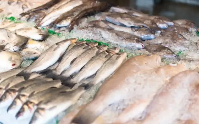 Consulta pública tá aberta até 18 de novembro pra revisar regras da pesca amadora. É importante pra quem faz isso lazer…