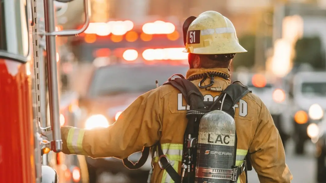 Lili, a gata de seis anos, desapareceu por quatro dias no Engenho Novo, Rio de Janeiro, e foi resgatada pelos bombeiros…