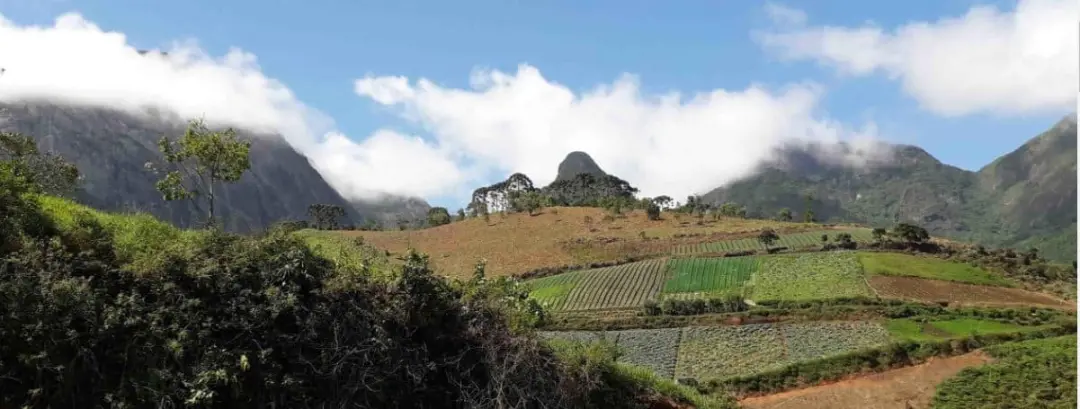 SAC Rio 2026 vai acontecer no Rio de Janeiro de 13 a 18 de outubro com o tema Mulheres na Agricultura: Saberes que Alim…