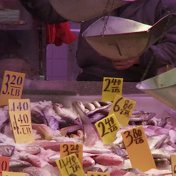 A gente olha de onde vem o peixe no nosso prato. É importante entender a origem de tudo que consumimos, pois isso defin…