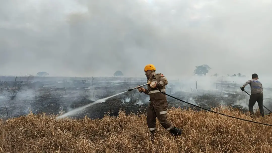 37 focos de incêndio registrados em Goiás em um dia. O fogo se espalha mais fácil com a vegetação seca, e isso exige ma…