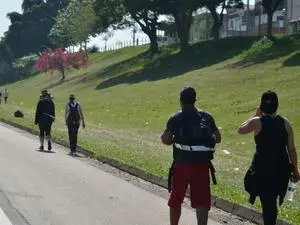 Publicação de Bernardo Pereira Nascimento