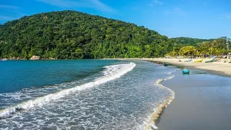 O feriado de Nossa Senhora em São Paulo traz a notícia de 86 praias impróprias. É muito frustrante pensar que locais de…