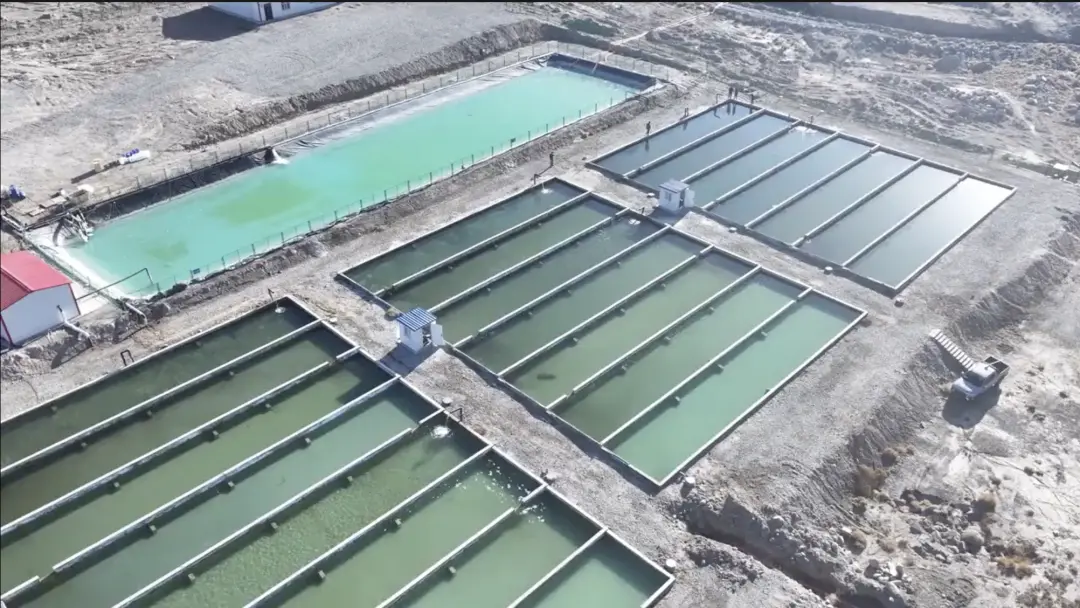 Salmonicultura no interior da China, promovida pela TV estatal, mostra peixe criado em terras áridas. A ideia de transf…