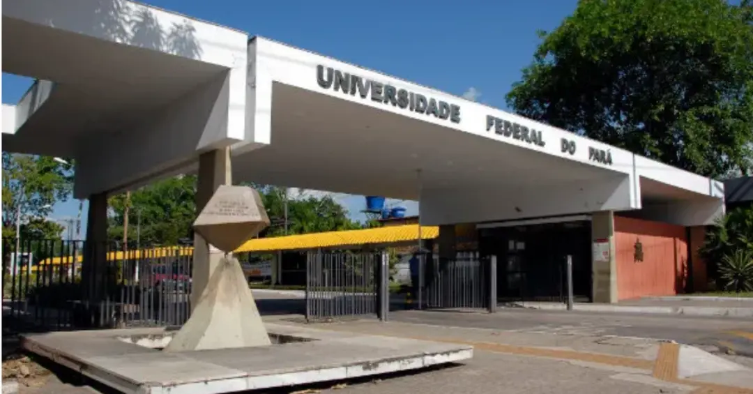Publicação de Aline Alves Pereira