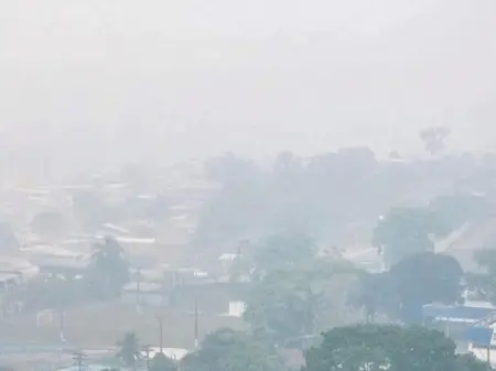 Manaus suspendeu aulas e alterou serviços públicos por causa da qualidade do ar. A gente precisa entender que a respira…