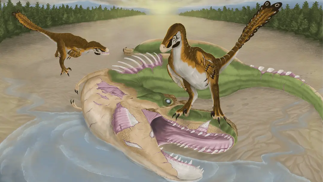 Albertosaurus, predador grande de 73 a 67 milhões de anos atrás, teve marcas de mordida na mandíbula. Isso mostra que u…