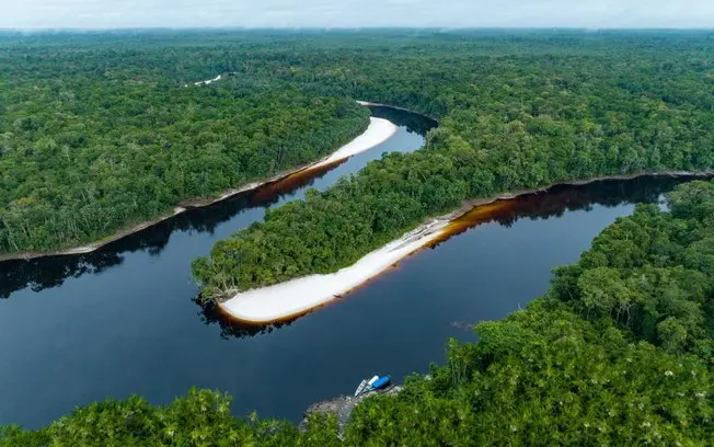 Sete de cada dez florestas tropicais sofreram calor e seca extremos no El Niño 2023-2024. Essas condições podem virar o…