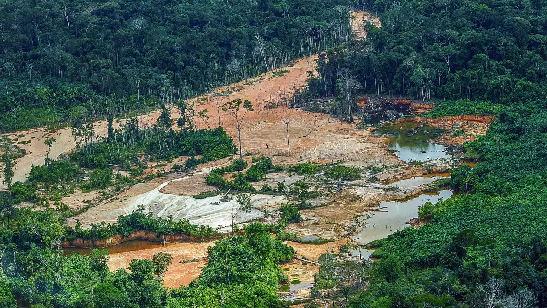 Aliança em Defesa dos Territórios, formada por Kayapó, Yanomami e Munduruku, denuncia ameaças de garimpeiros em Belém. …
