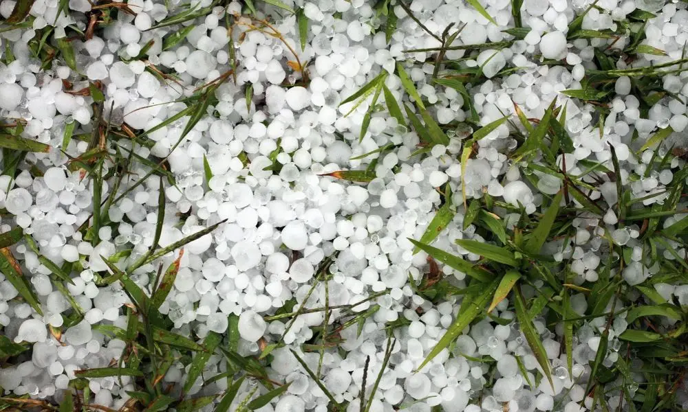 Defesa Civil de São Paulo alerta para chuva forte, granizo e ventos no feriado de 12 de outubro. É mais um feriado com …