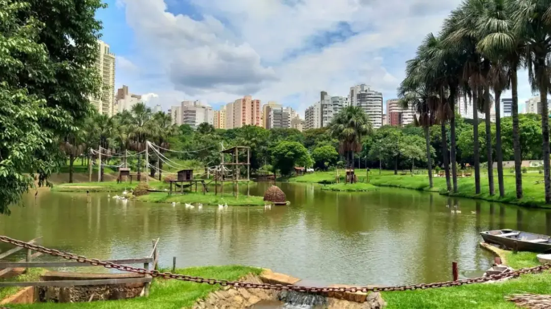 Dia das Crianças, entrada gratuita no Zoológico e Mutirama em Goiânia no dia 12 de outubro. A melhoria do Mutirama, com…
