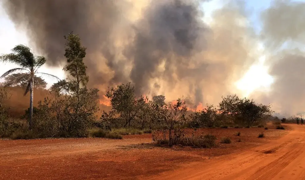 Regiões de São José do Rio Preto a Ribeirão Preto têm alto risco de incêndios neste sábado devido aos baixos índices de…