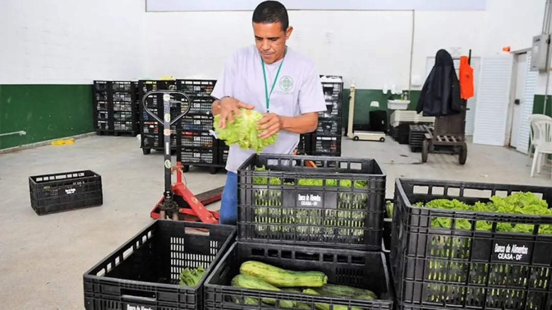 Projeto prevê doar excedentes de mercados para famílias vulneráveis, enquanto 6 milhões de brasileiros enfrentam insegu…