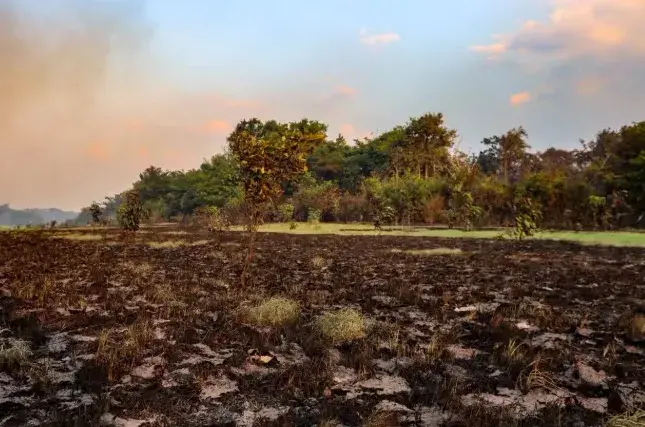 Comandante dos Bombeiros do Amazonas apontou negligência do governo federal ao negar apoio para as queimadas no estado.…