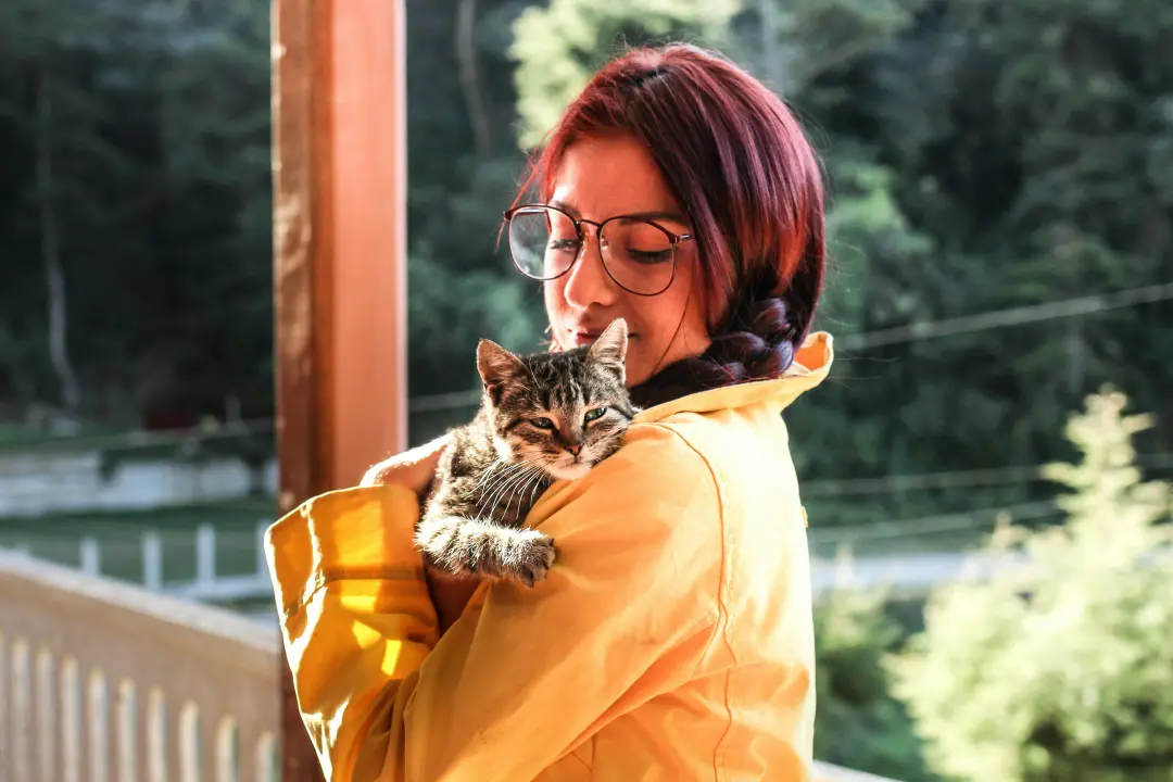 Gatos percebem cheiros incomuns e alterações químicas no corpo, o que faz eles reagirem a um mal-estar. O olfato sensív…