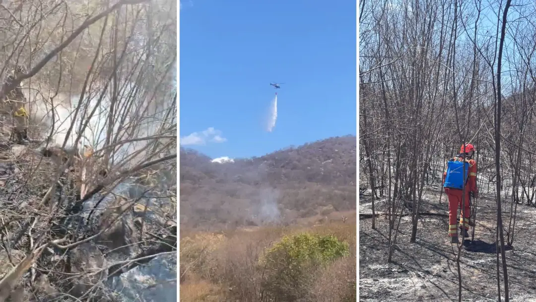 Lagoa, Paraíba, viu 800 hectares de vegetação consumidos por um incêndio no Sertão. O fogo foi controlado, mas o calor …