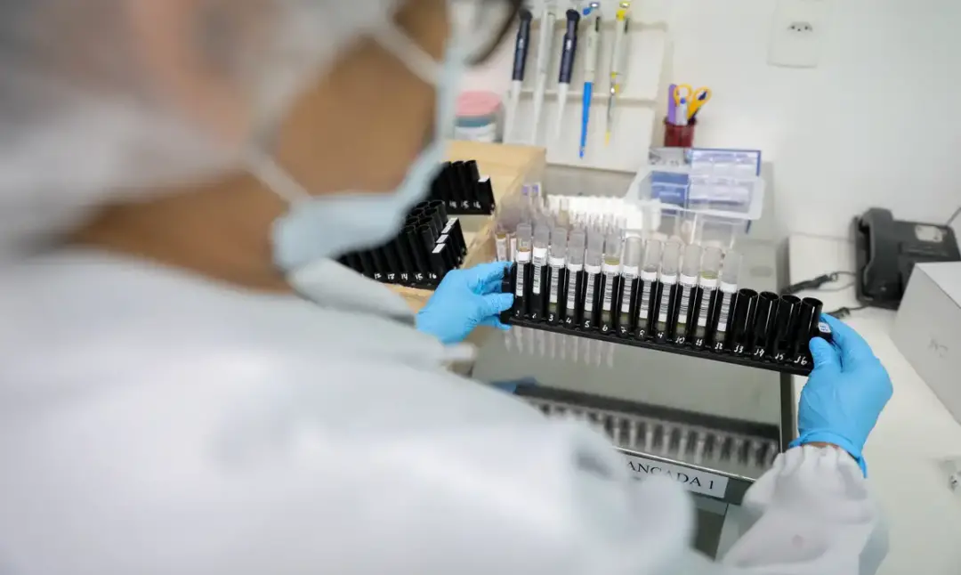 Anvisa autorizou testes em humanos da vacina 100% brasileira contra a malária Vivaxin. É um marco na prevenção do Plasm…