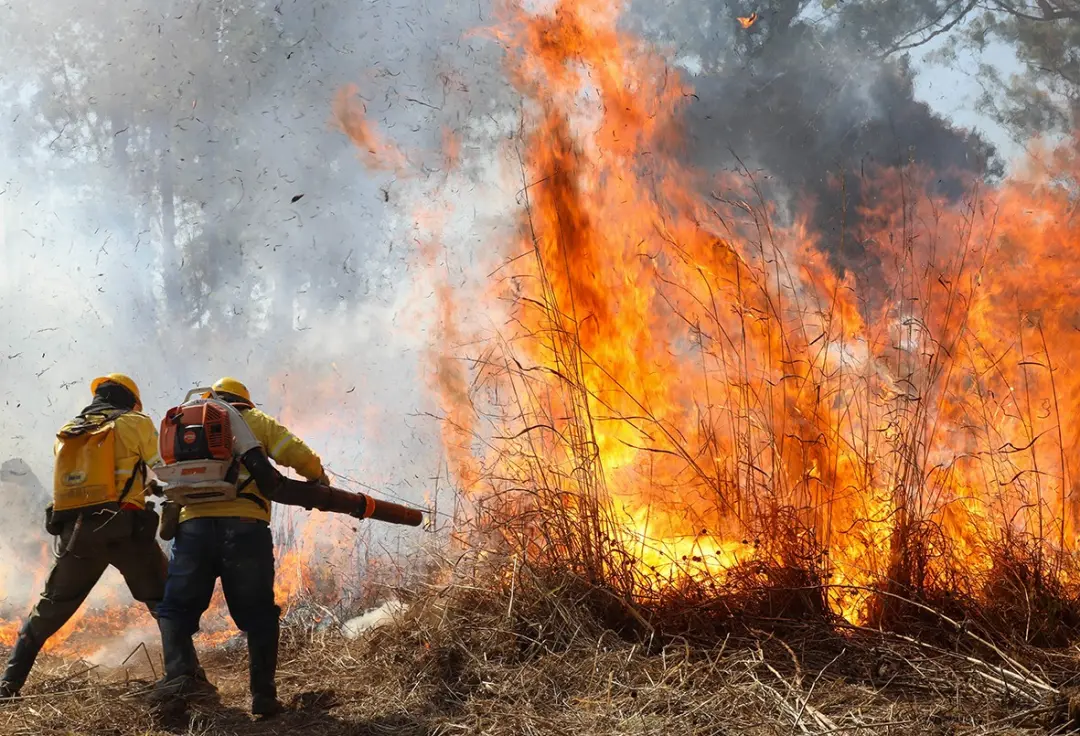 229 incêndios foram extintos no Amazonas, mas 20 focos ainda estão ativos. O reforço com brigadistas e aeronaves mostra…