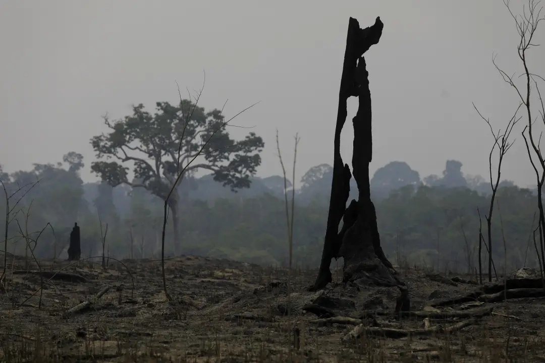 Ministério do Meio Ambiente alega que o governo do Amazonas dispensou apoio federal para combate a fogo, mesmo após sol…
