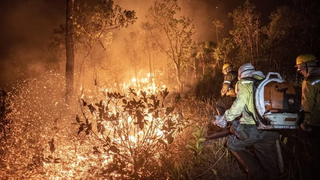 229 focos de incêndio extintos no Amazonas pelo Ibama. A mobilização reforçada com mais aeronaves mostra o esforço, mas…