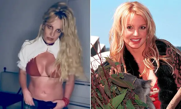 Britney Spears postou material inusitado sobre ter dado à luz coalas durante visita à Austrália. Essa mistura de arte e…
